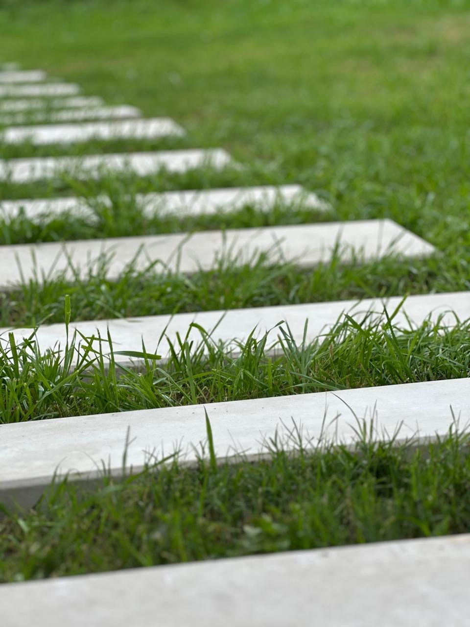 Vista del jardín de Casa Muza